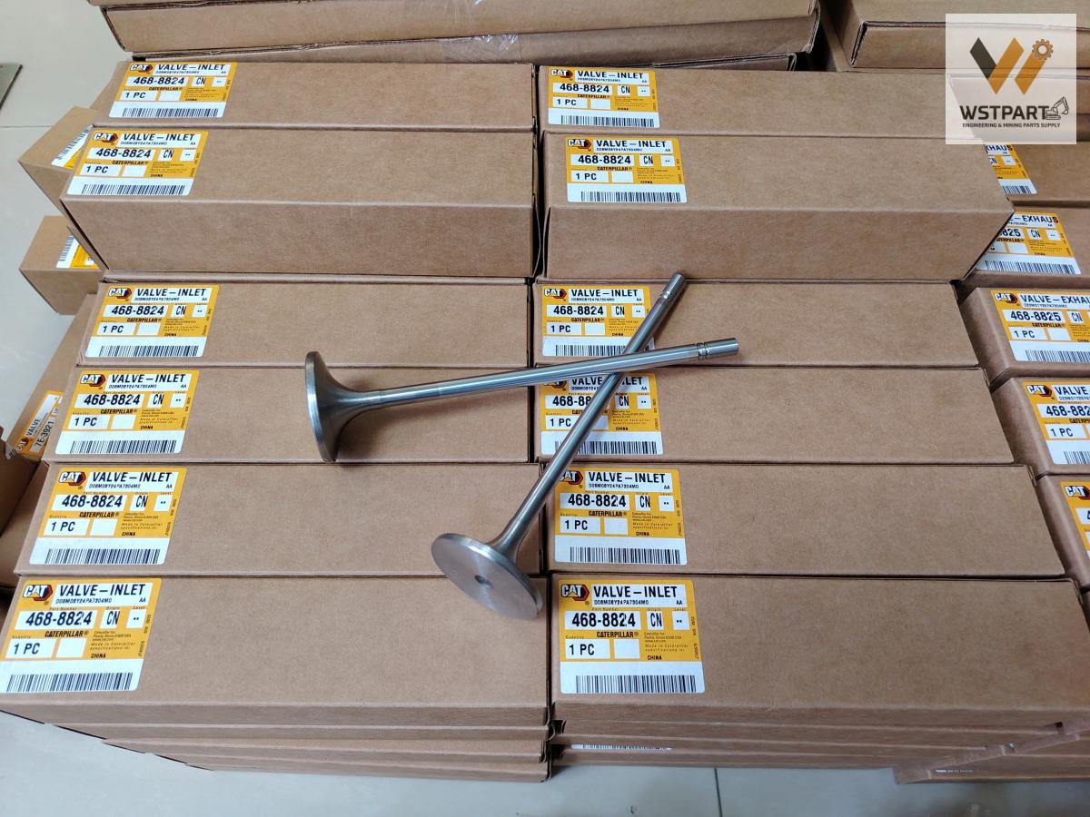 Intake Valve 4688824