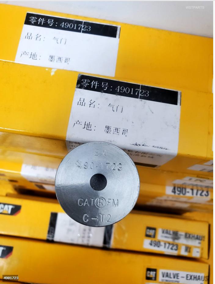 Exhaust Valve 4901723