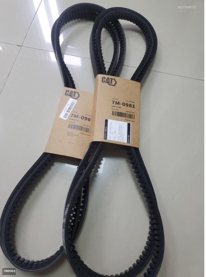 VEE BELT S 7M0981