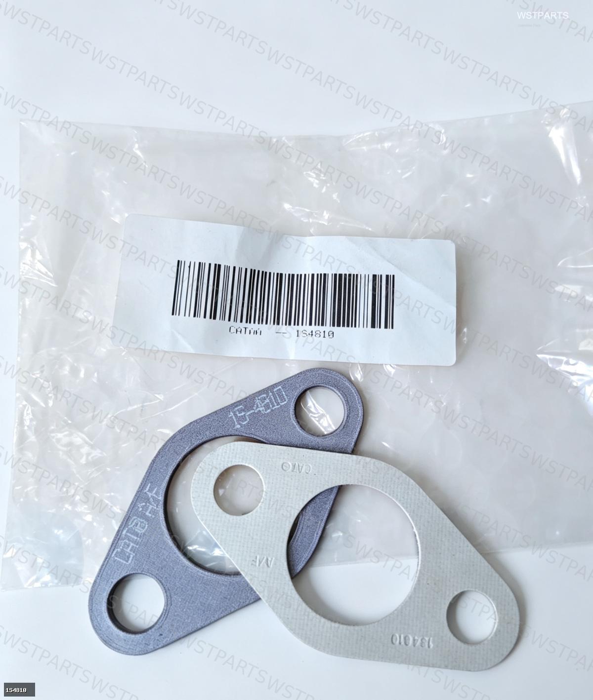 GASKET 1S4810