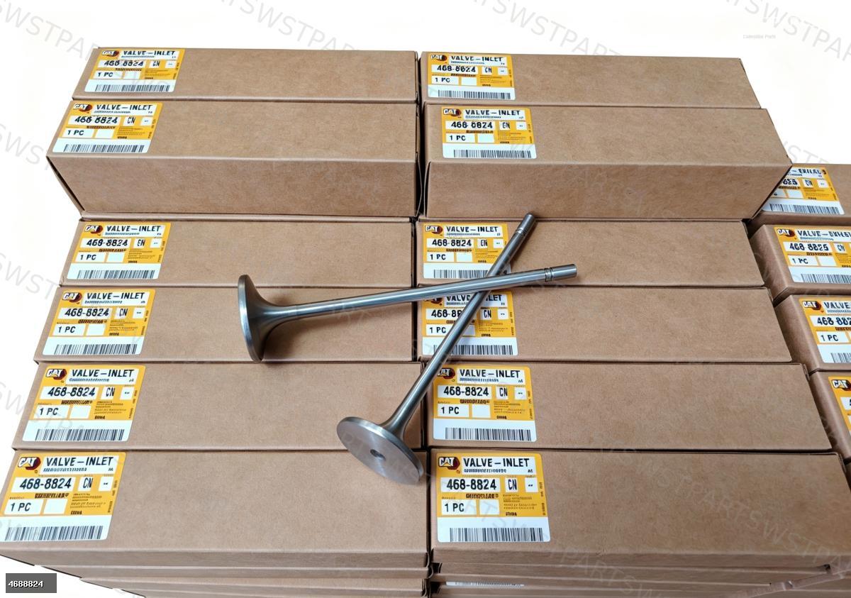 Intake Valve 4688824