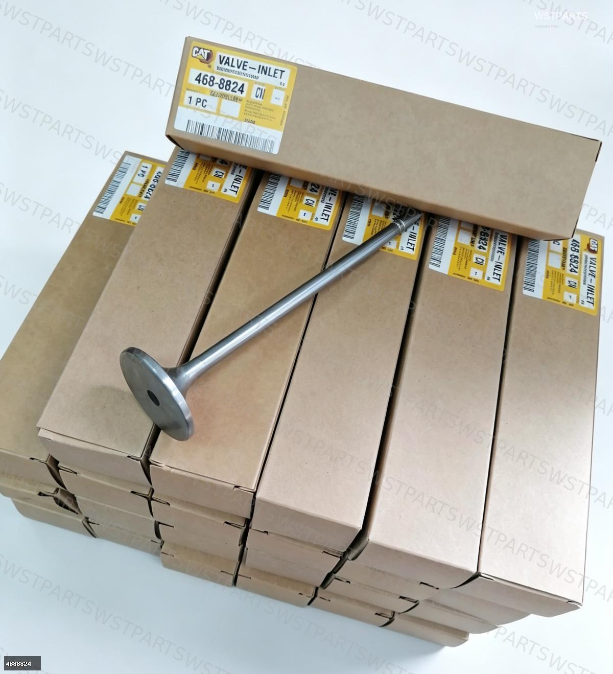 Intake Valve 4688824