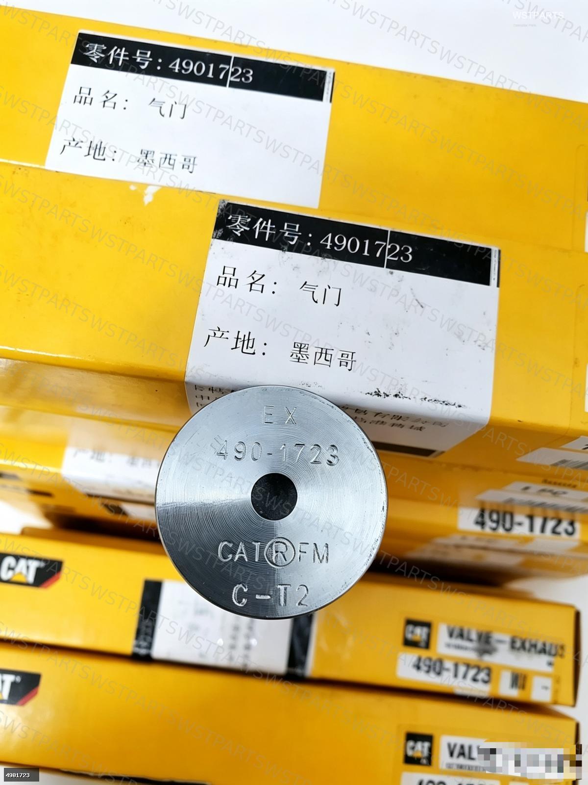 Exhaust Valve 4901723