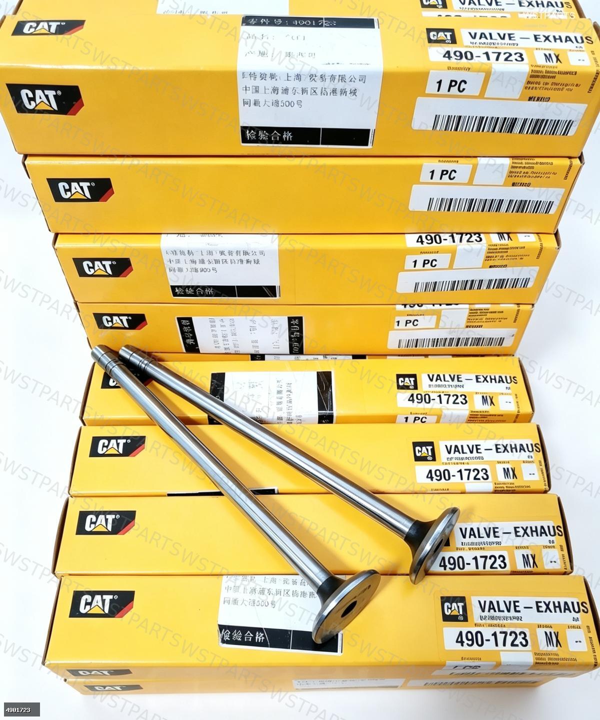 Exhaust Valve 4901723